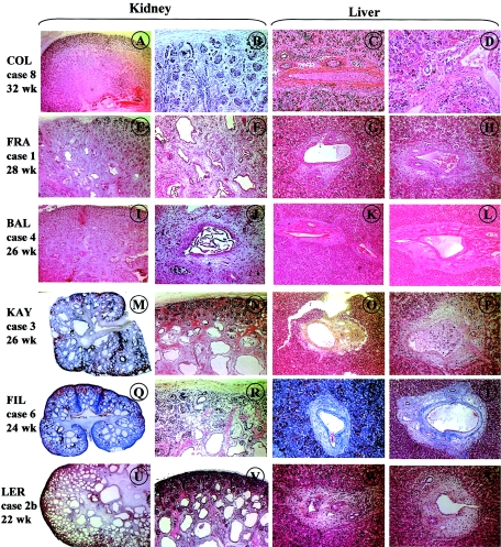 Figure  2