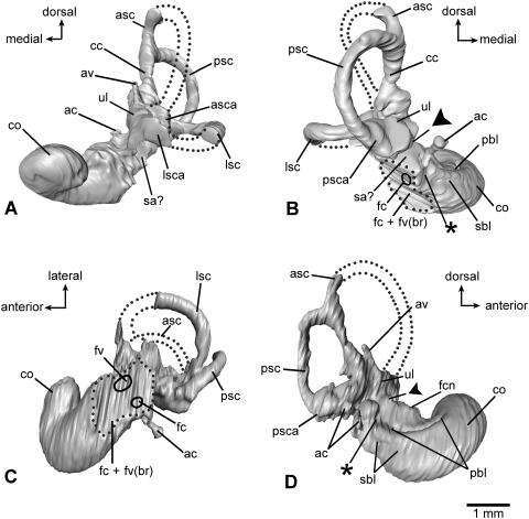 Fig. 5