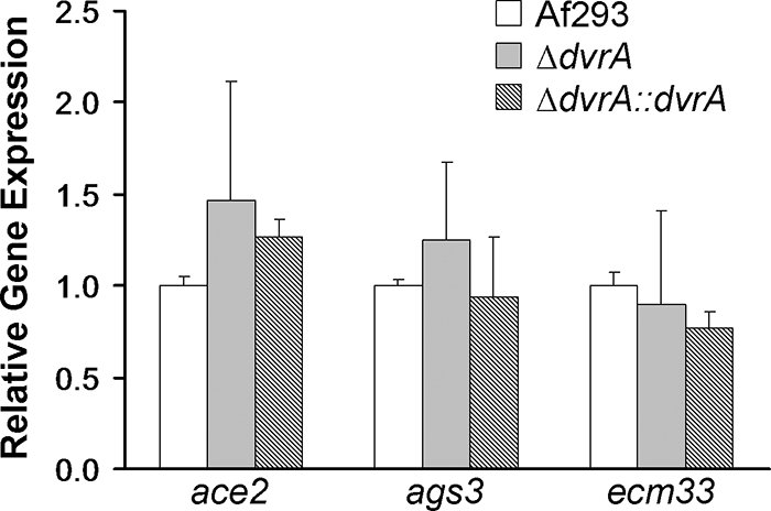 Fig. 9.