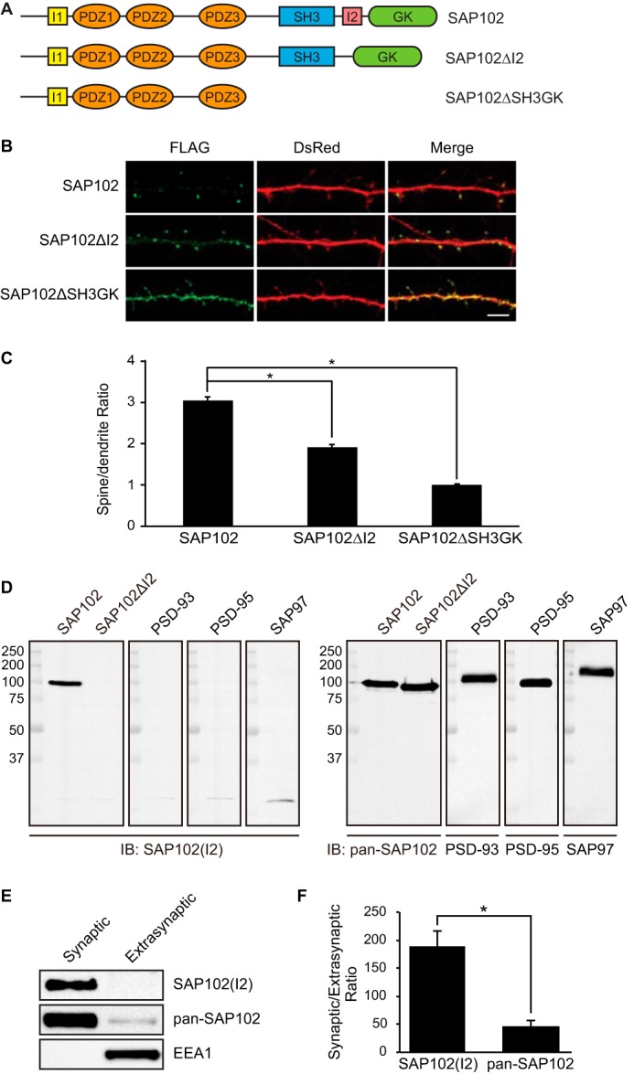 FIGURE 1.