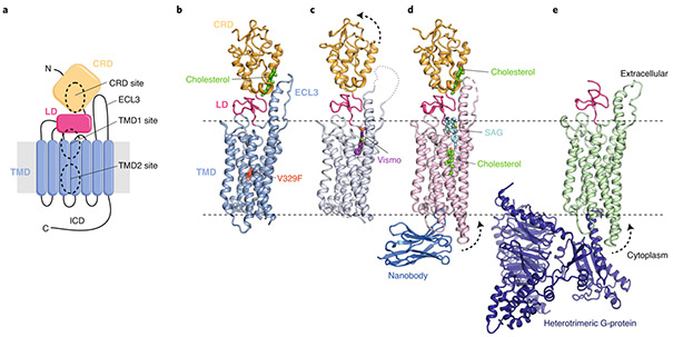 Fig. 2 ∣