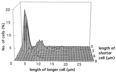 FIG. 6