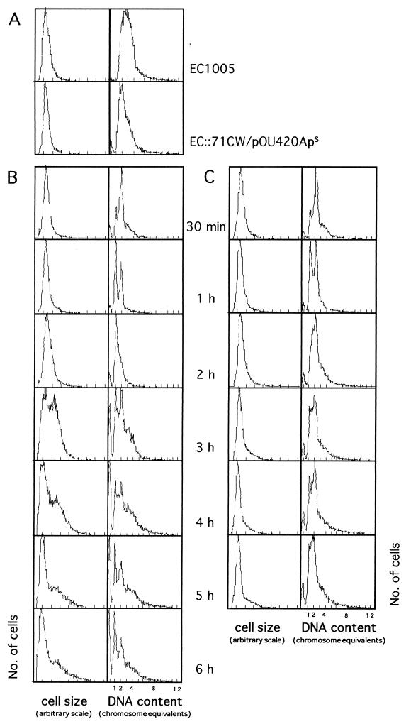 FIG. 3