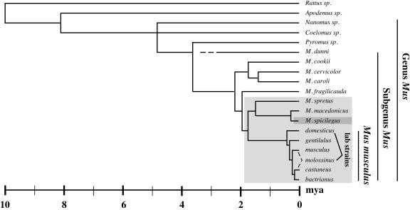 FIG. 8.