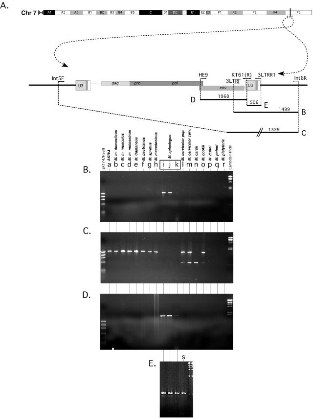 FIG. 6.