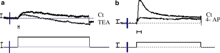 Fig. 7