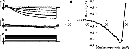 Fig. 8