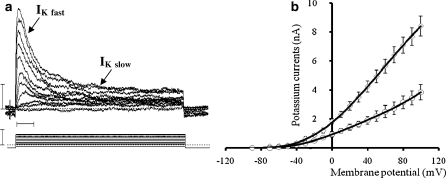 Fig. 6