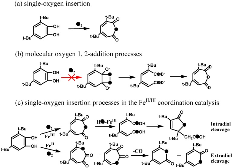 Scheme 9