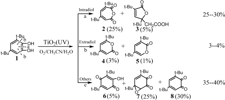 Scheme 8