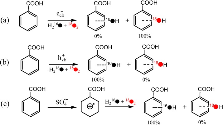 Scheme 4