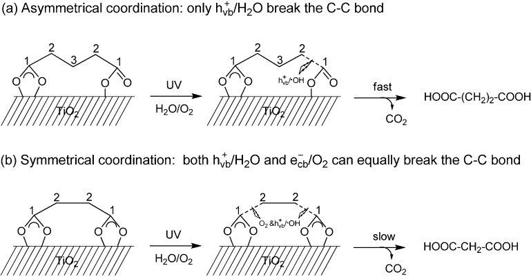 Scheme 13