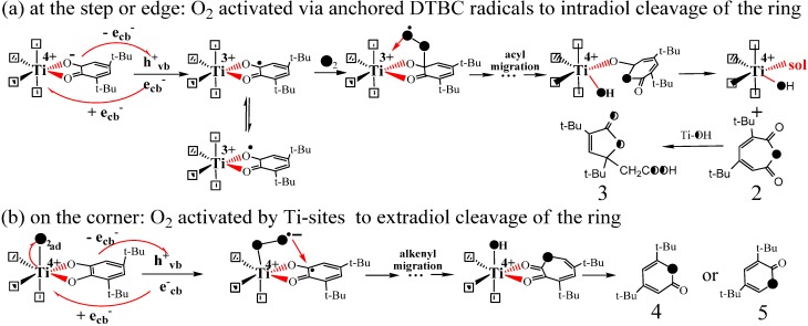 Scheme 10