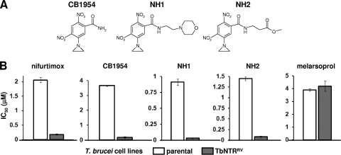 FIG. 3.