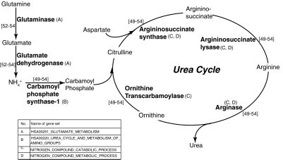 FIG. 6.