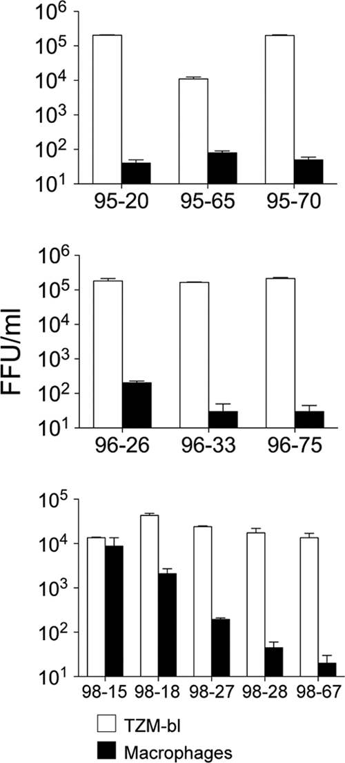 FIG. 1.