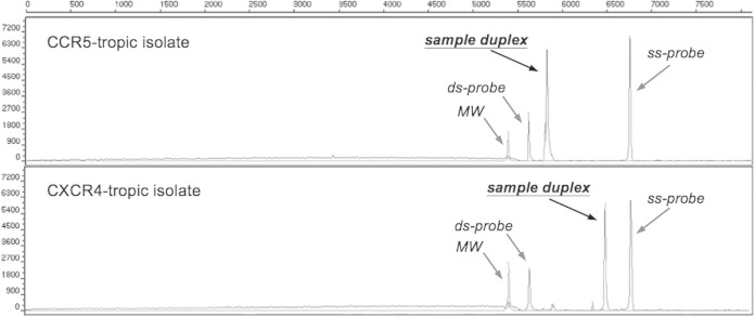 FIG 3