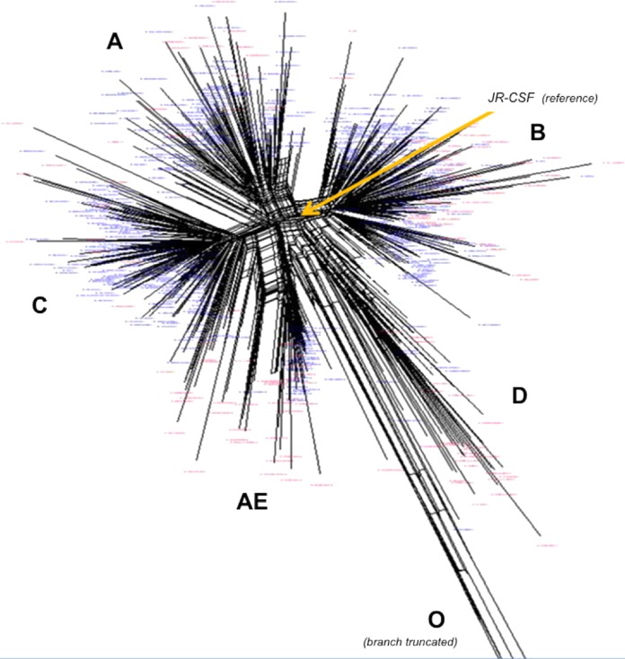 FIG 2