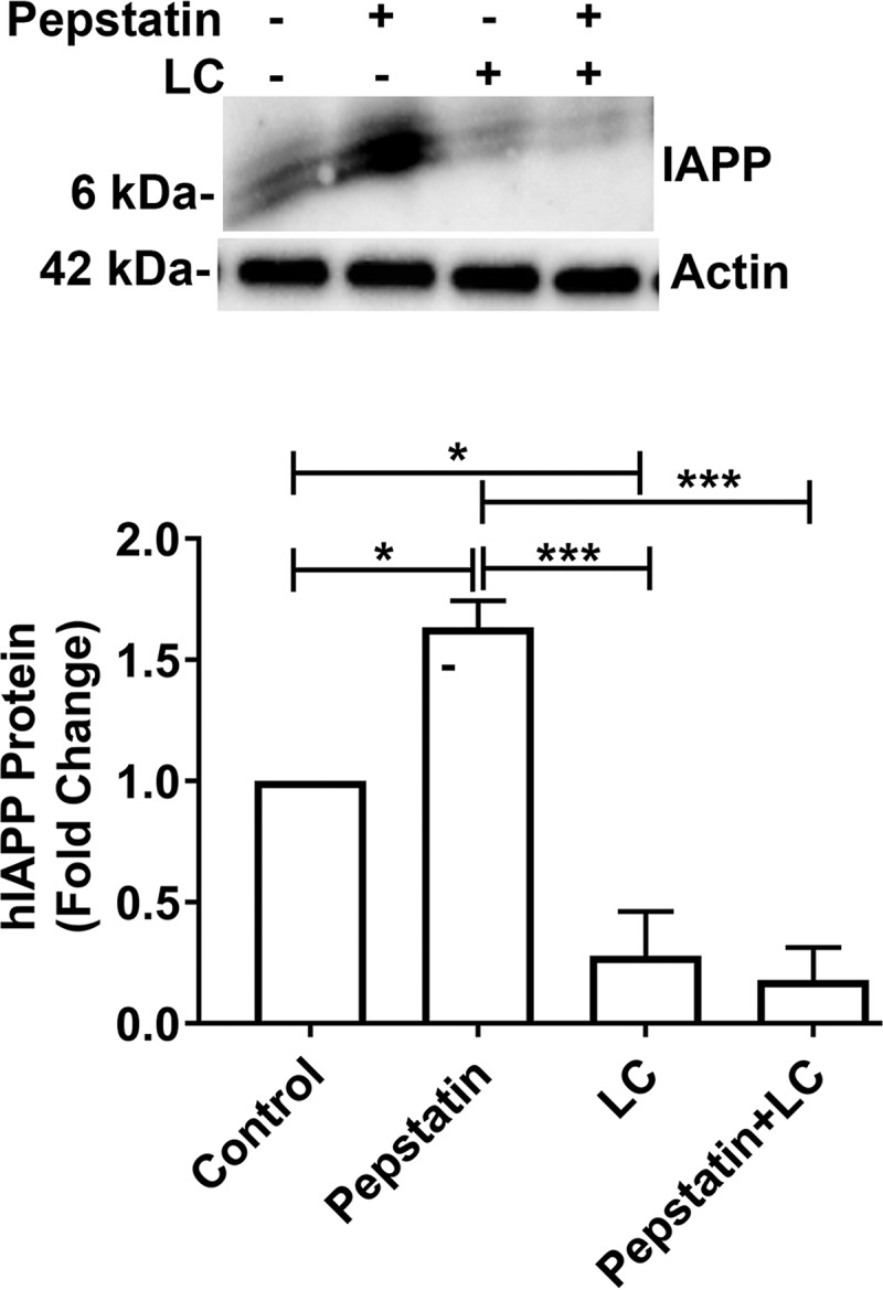 Figure 7.