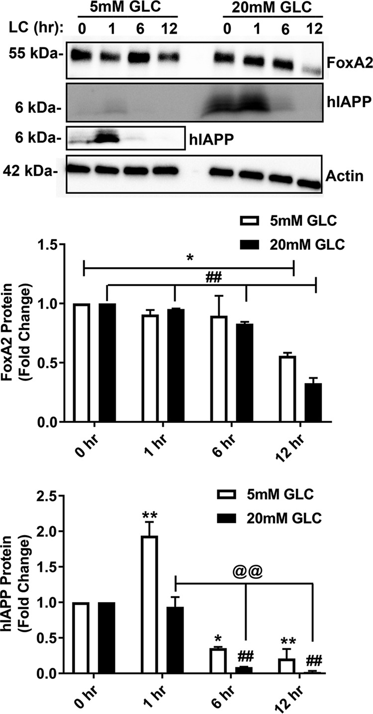 Figure 9.