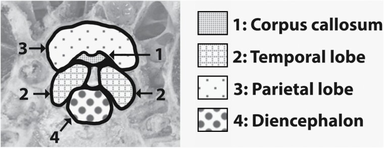 Figure 7.