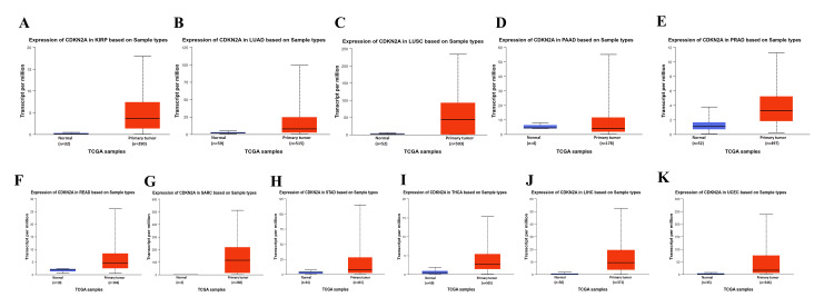 Figure 13