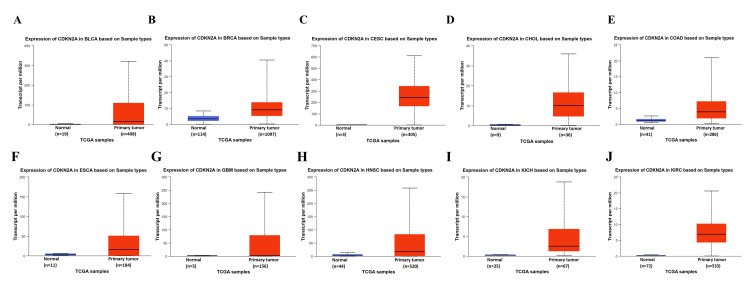 Figure 12