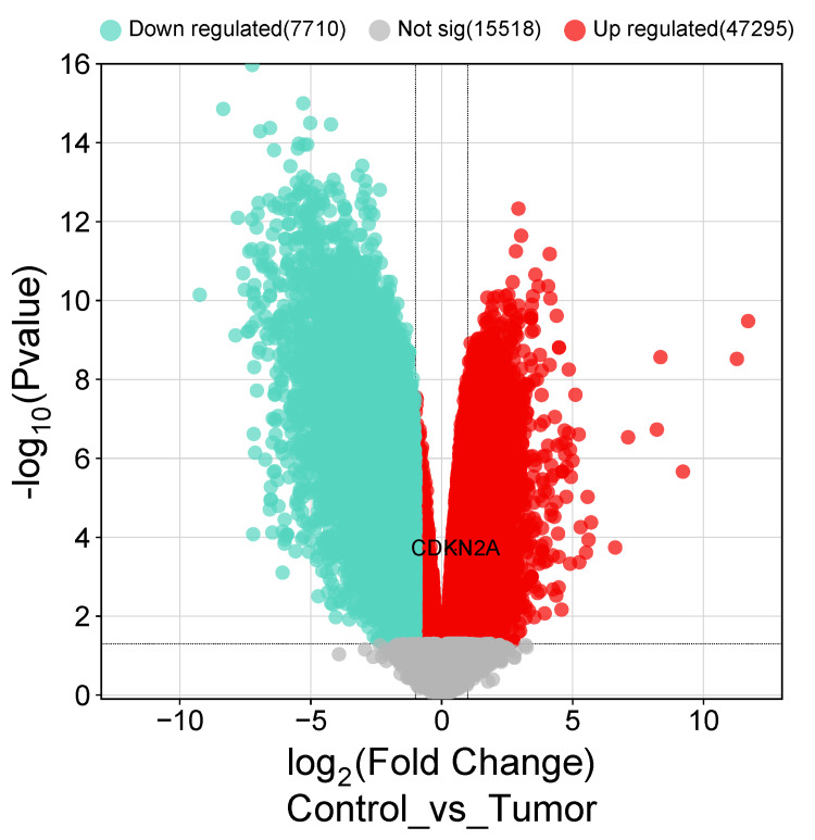 Figure 9