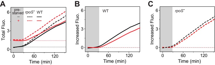 FIG 5