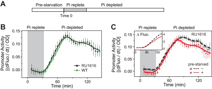 FIG 3