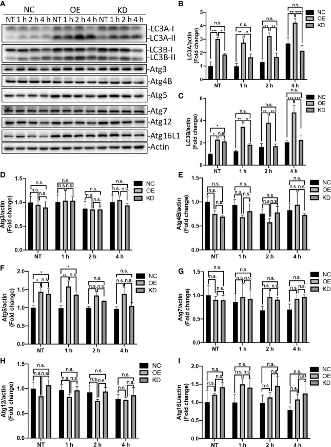 Figure 3