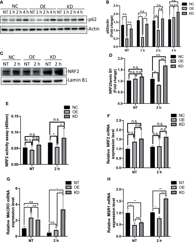 Figure 4