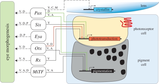 Figure 3.