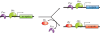 Figure 4.