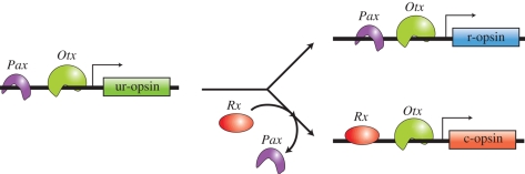 Figure 4.