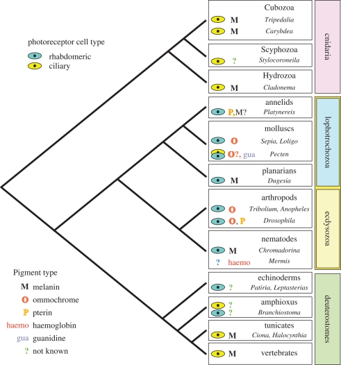 Figure 2.