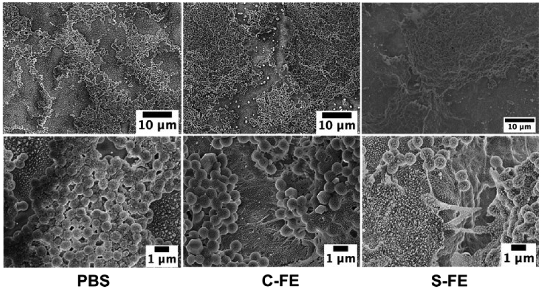 Figure 10: