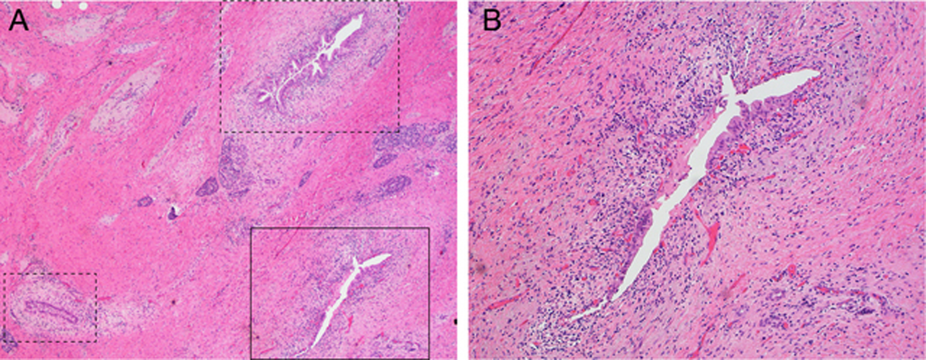 Fig 2.