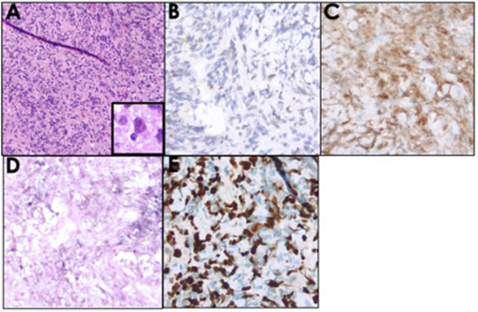 Figure 4.