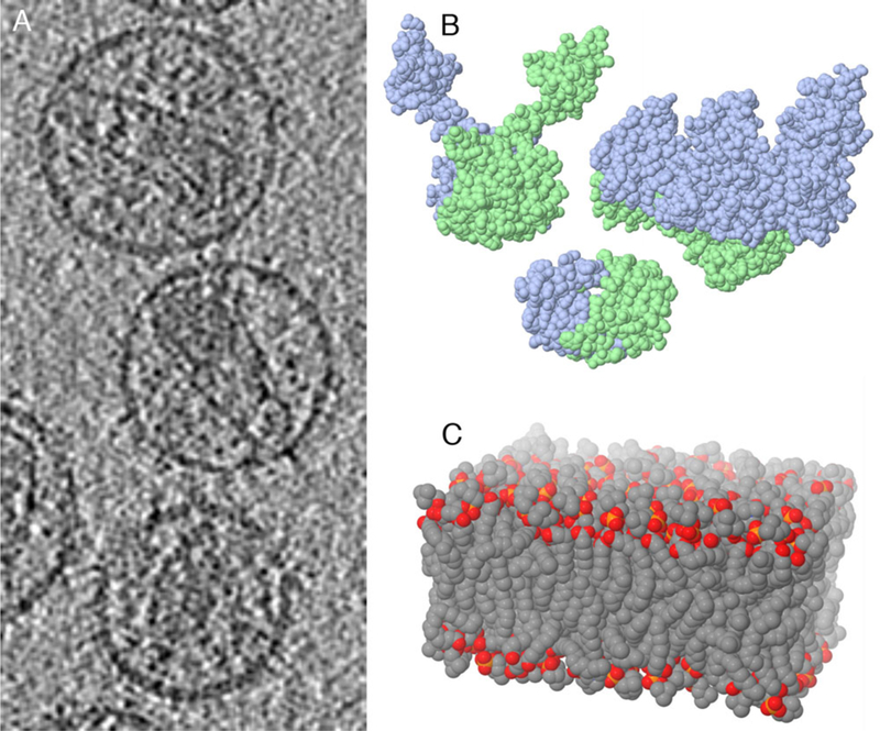 Figure 6.