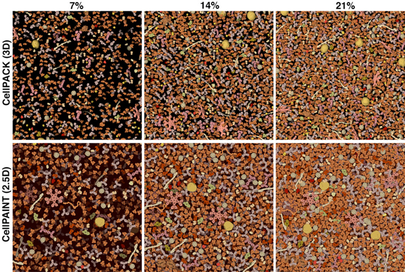 Figure 5.