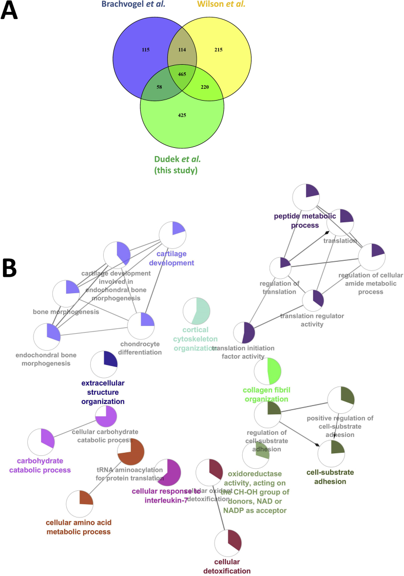 Supplementary Fig. 1