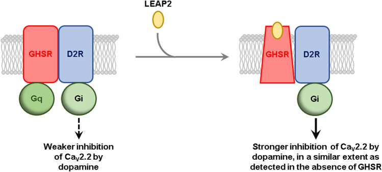 GRAPHICAL ABSTRACT