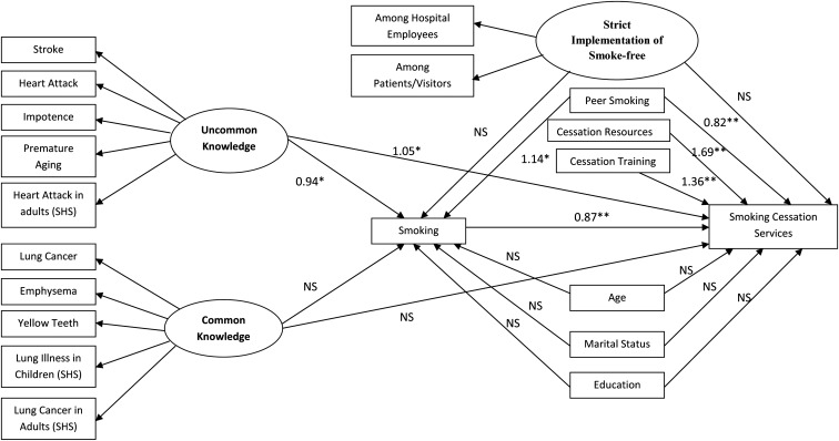 Figure 1