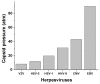 Figure 6—figure supplement 1.