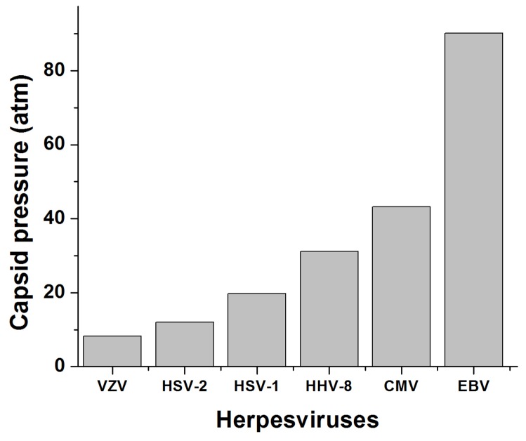 Figure 6—figure supplement 1.