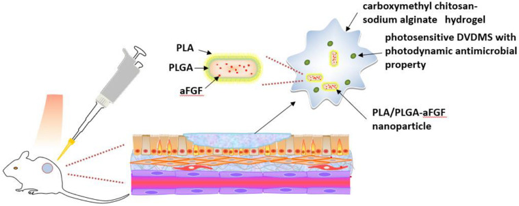 FIGURE 6