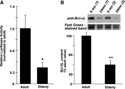 FIG. 10.