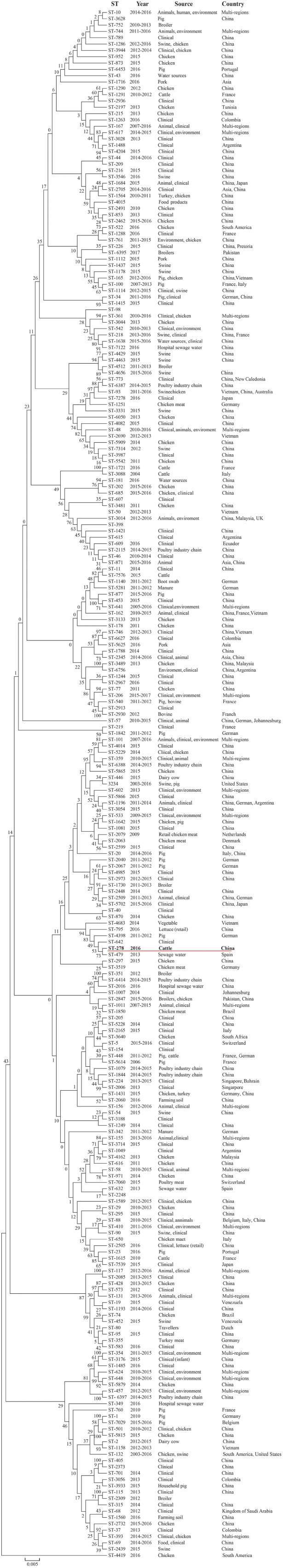 FIGURE 2