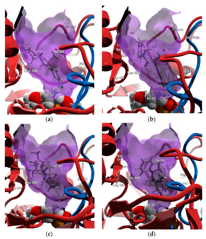 Figure 13
